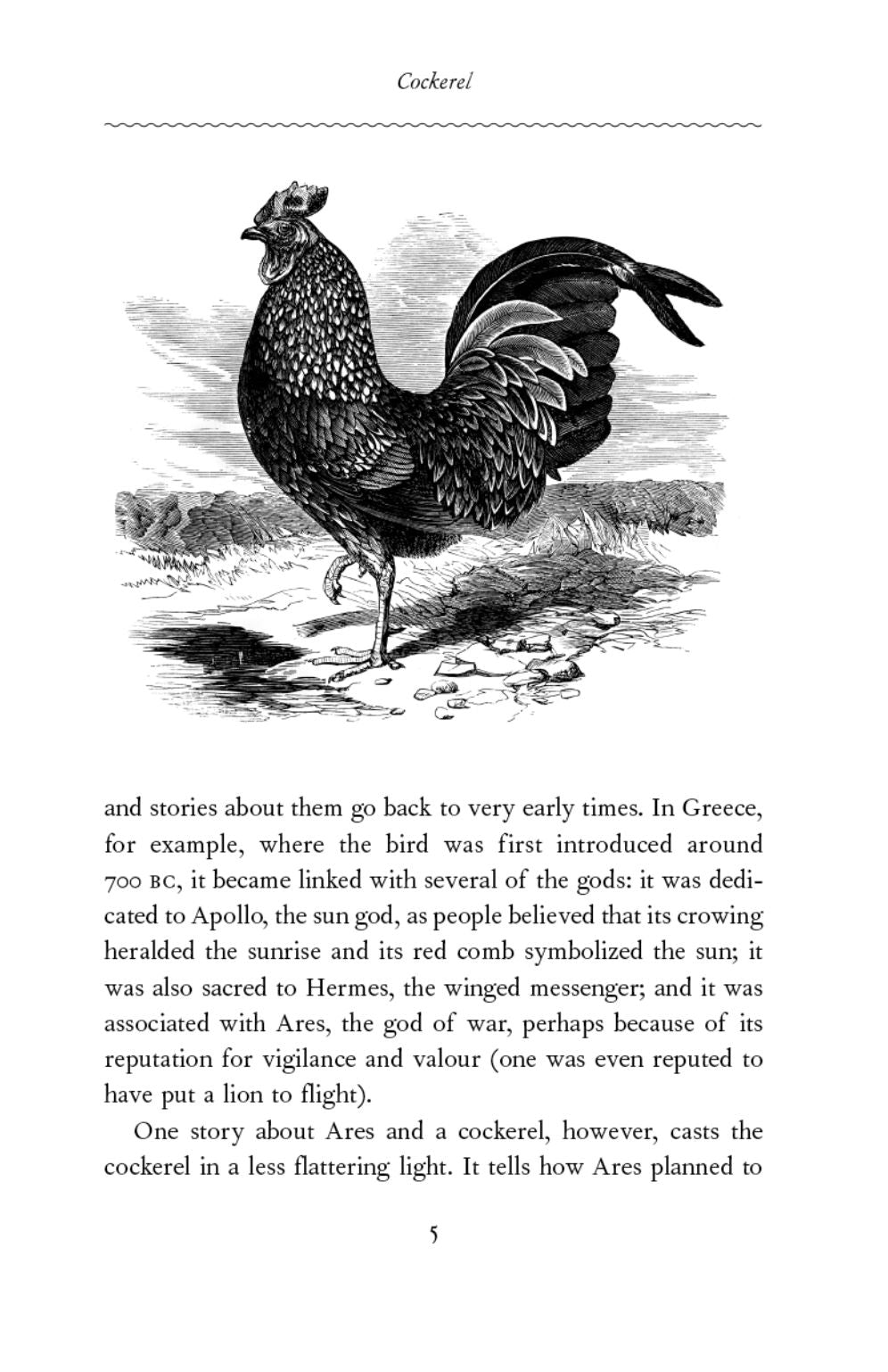 Flights of Fancy: Birds in Myth, Legend, and Superstition