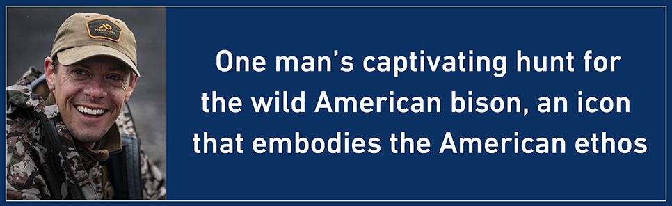 American Buffalo: In Search of a Lost Icon