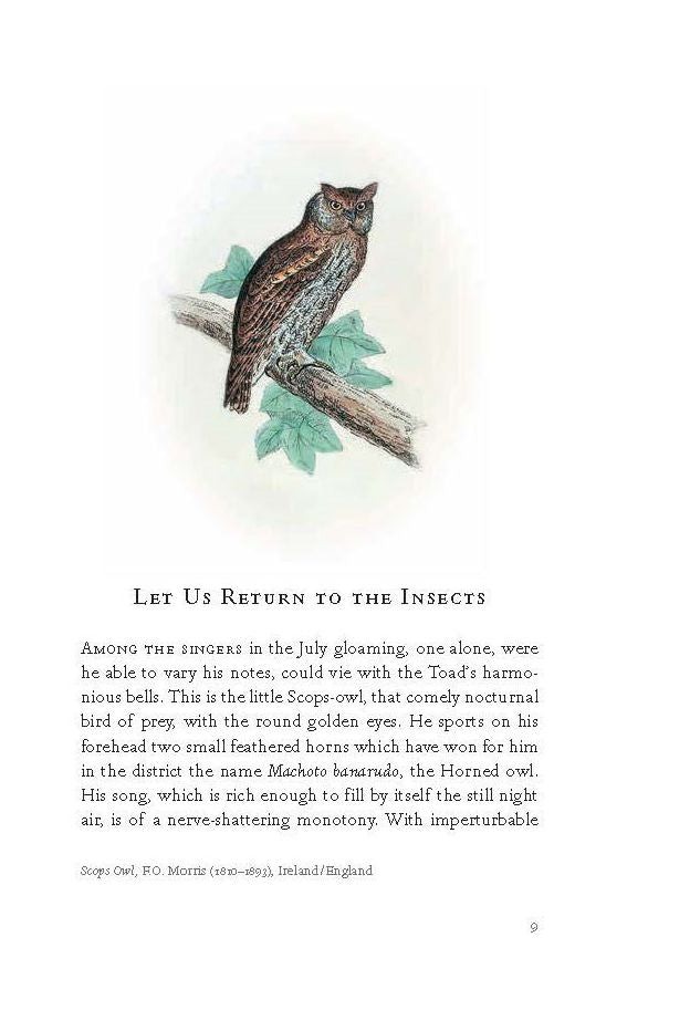 The Bedside Book of Birds: An Avian Miscellany