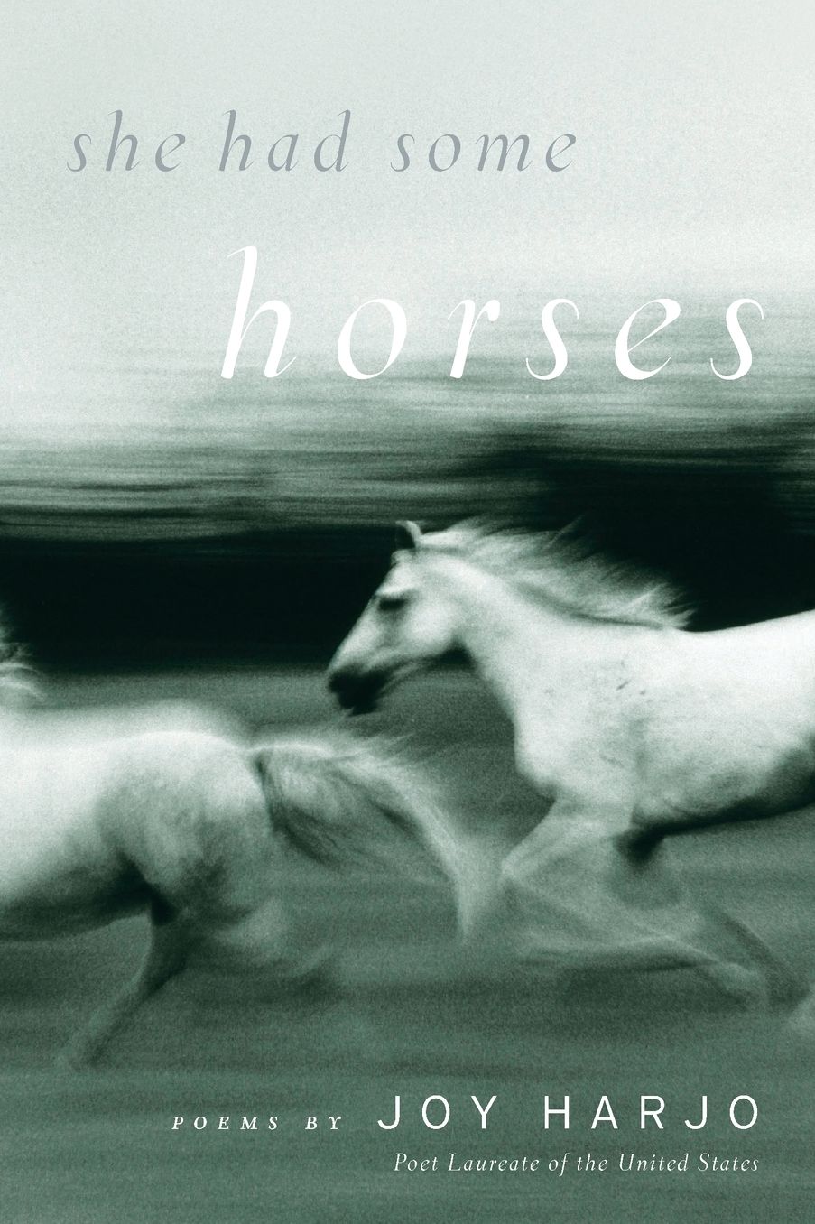 She Had Some Horses