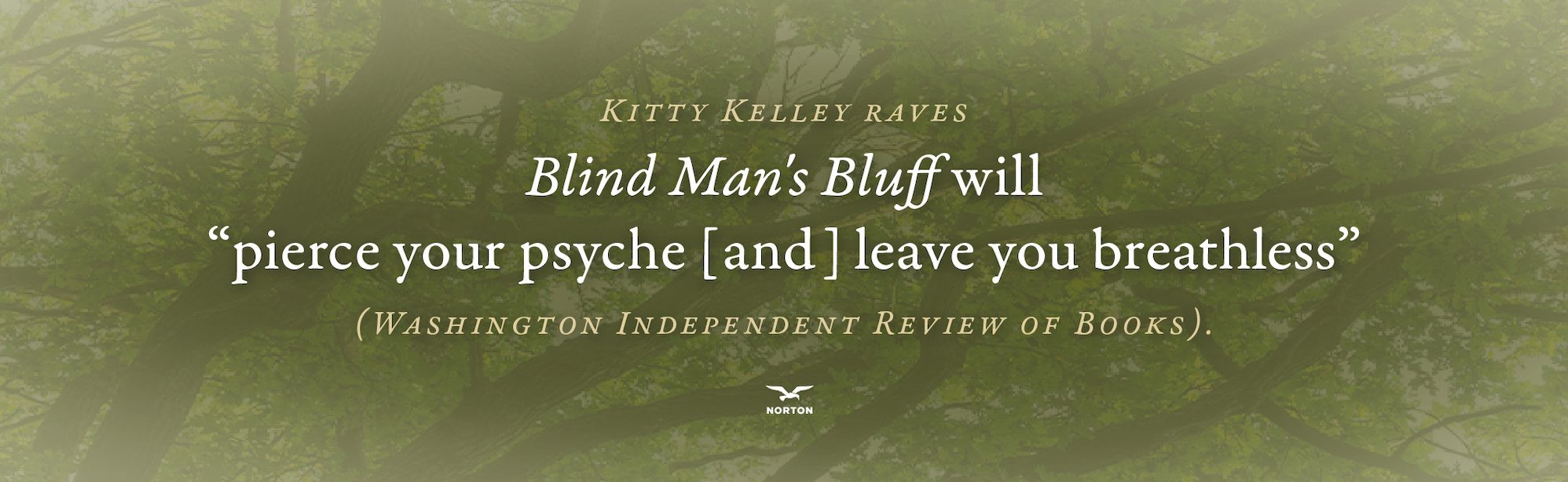 Blind Man's Bluff: A Memoir