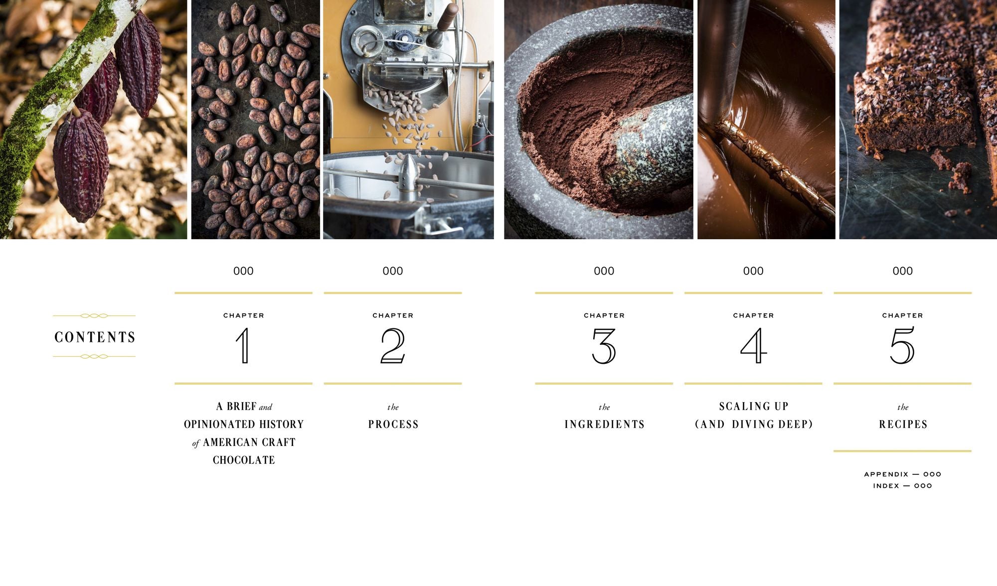 Making Chocolate: From Bean to Bar to S'more: A Cookbook