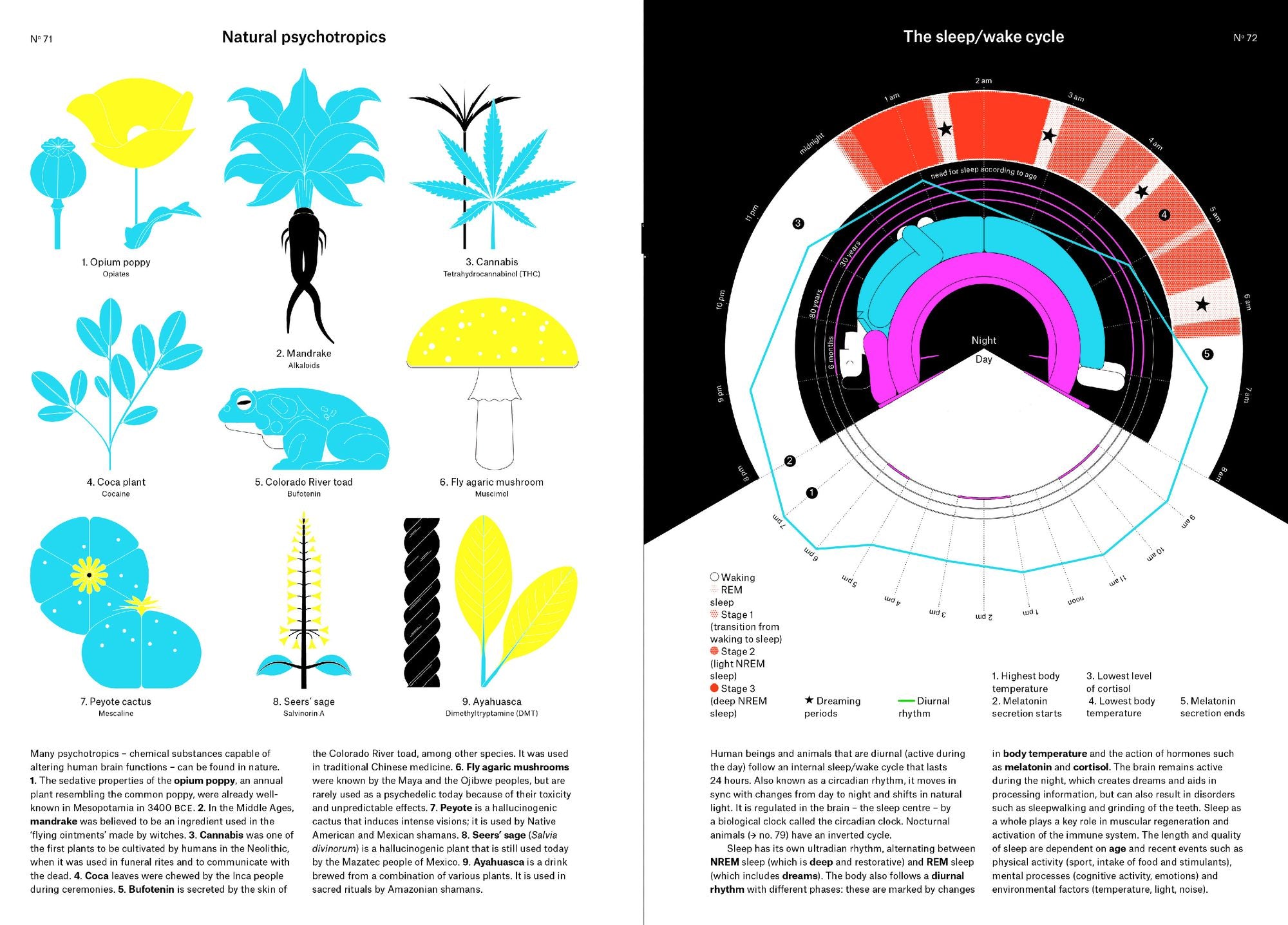 Phenomena: An Infographic Guide to Almost Everything