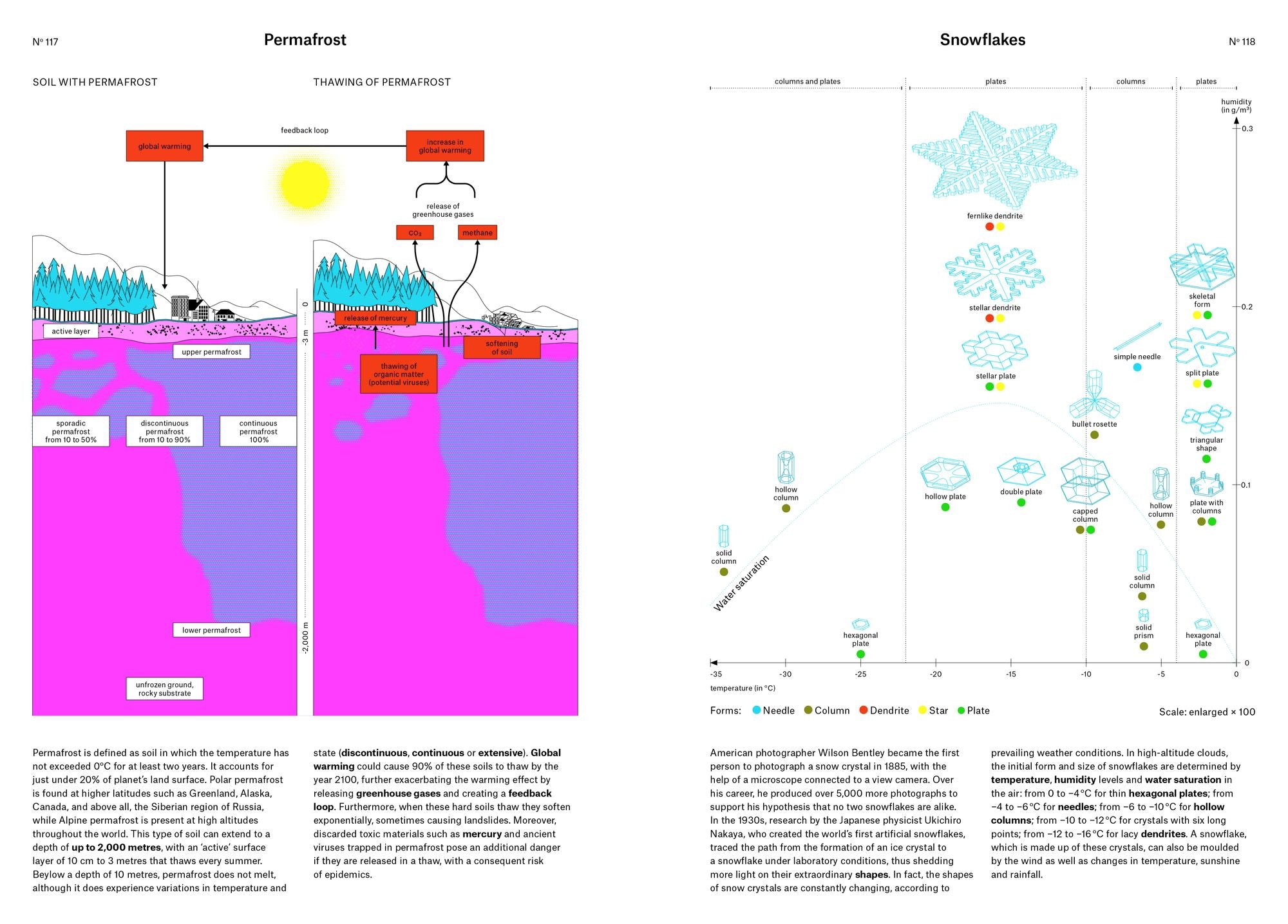 Phenomena: An Infographic Guide to Almost Everything