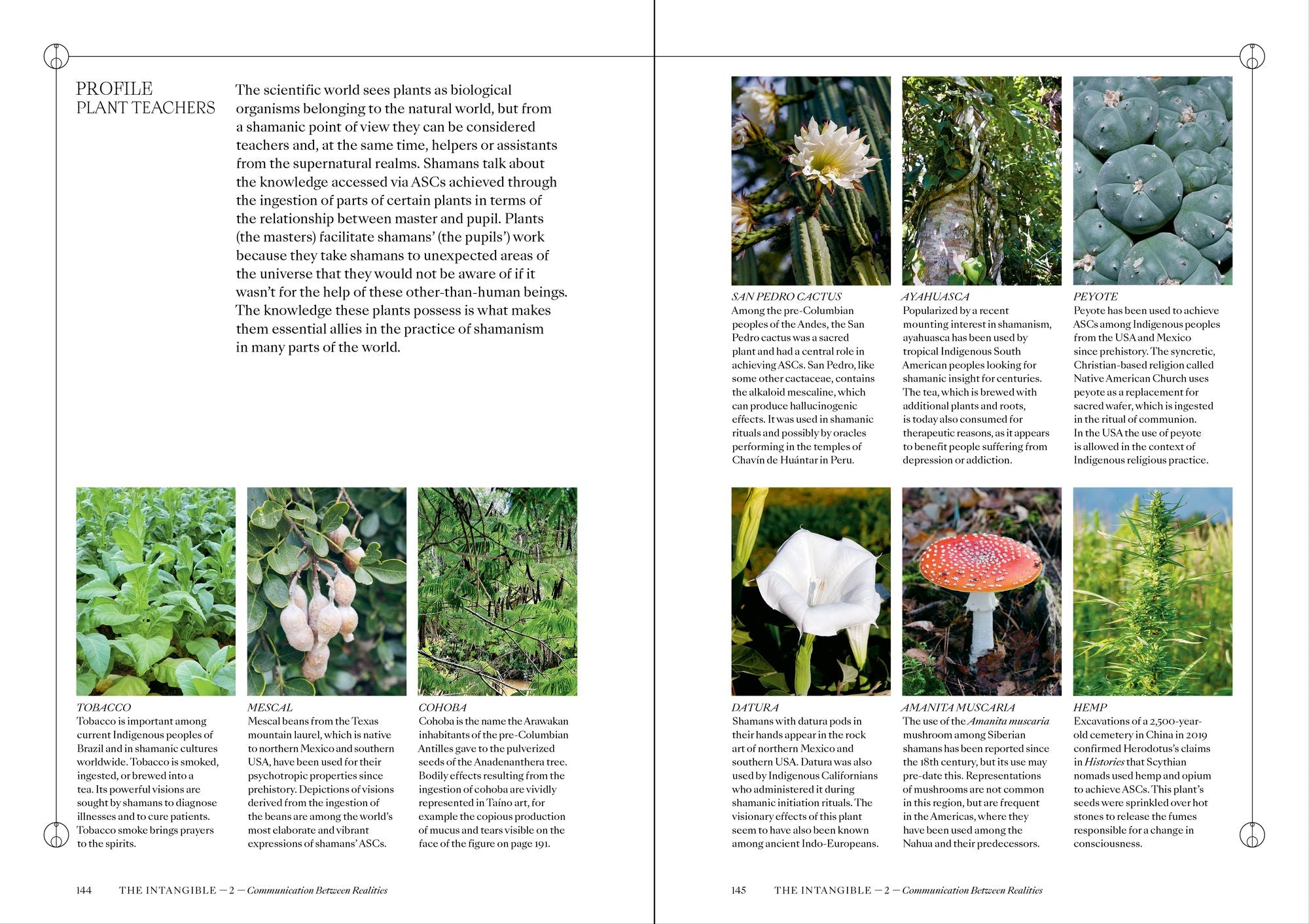 Shamans: The Visual Culture of Animism, Healing and Journeys to Other Planes