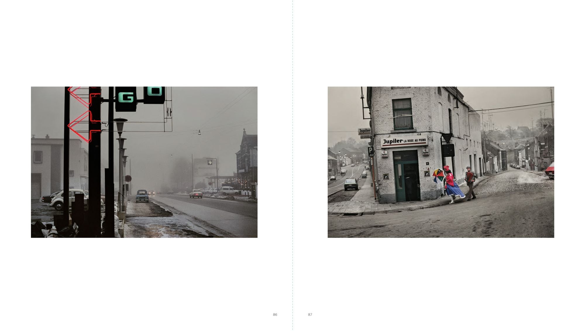 Harry Gruyaert: Homeland