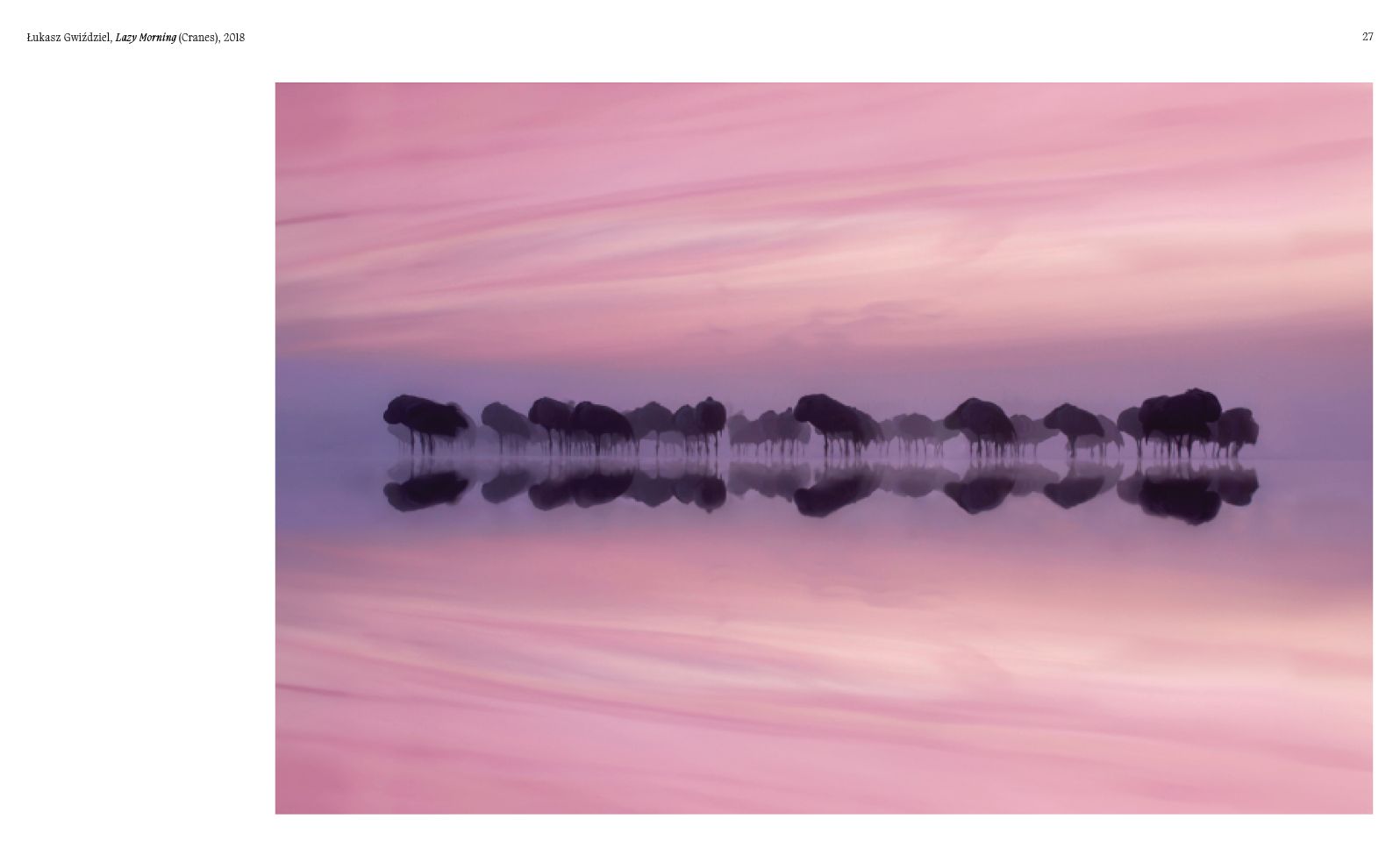 Aviary: The Bird in Contemporary Photography