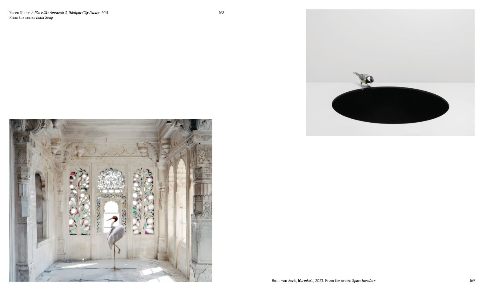 Aviary: The Bird in Contemporary Photography