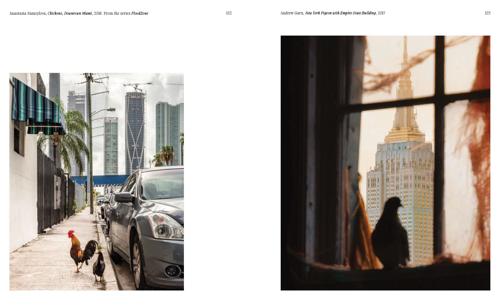 Aviary: The Bird in Contemporary Photography
