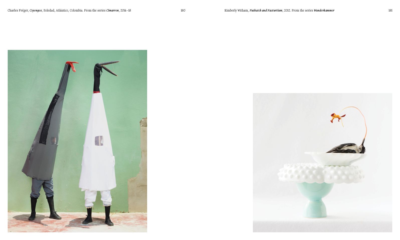Aviary: The Bird in Contemporary Photography