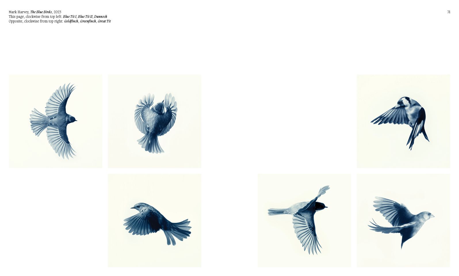 Aviary: The Bird in Contemporary Photography