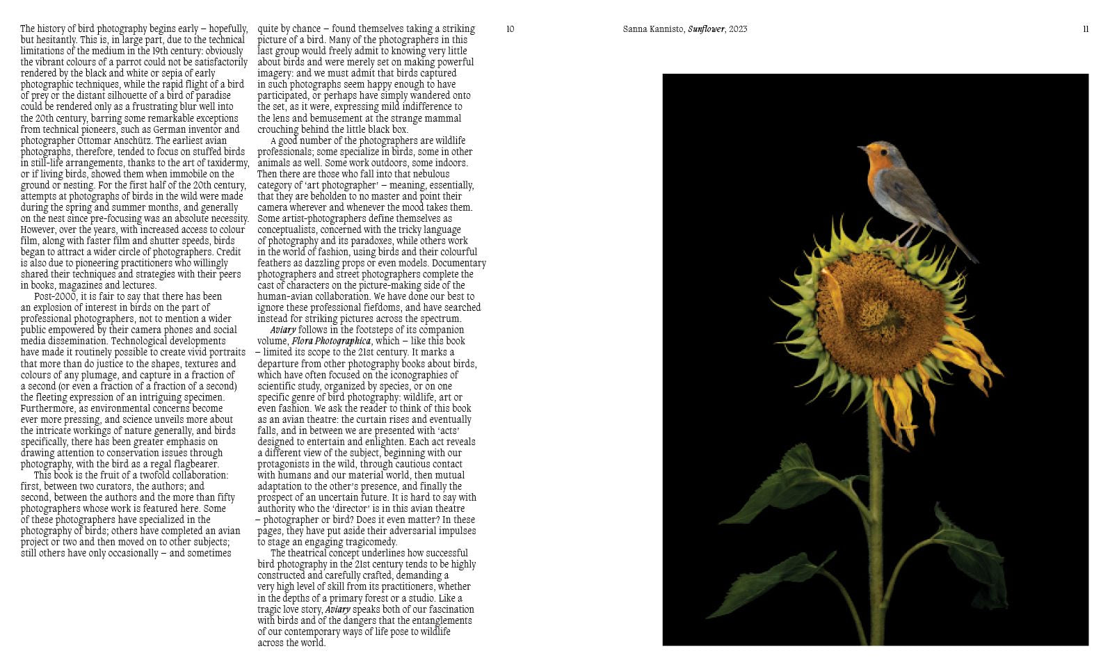 Aviary: The Bird in Contemporary Photography