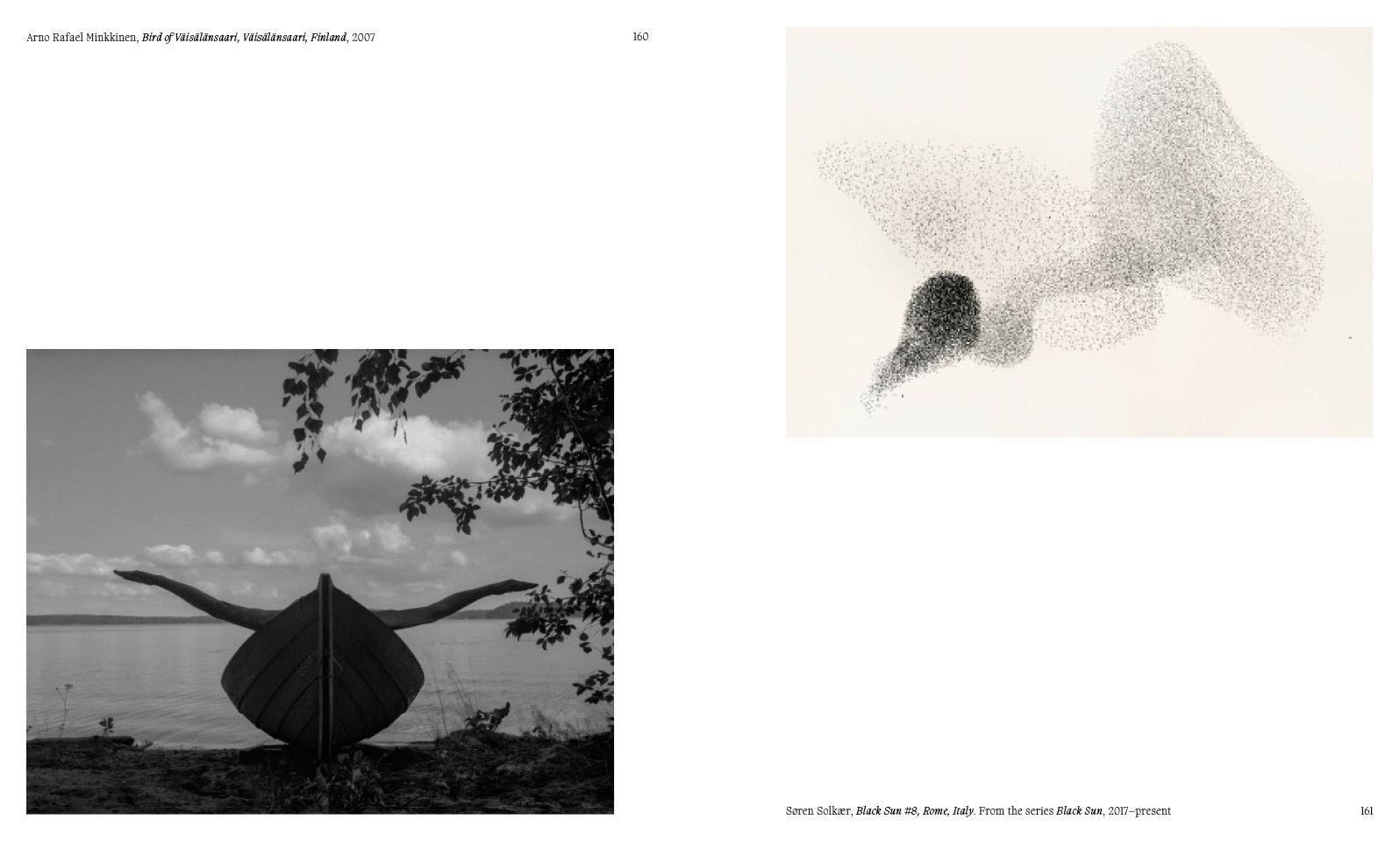 Aviary: The Bird in Contemporary Photography