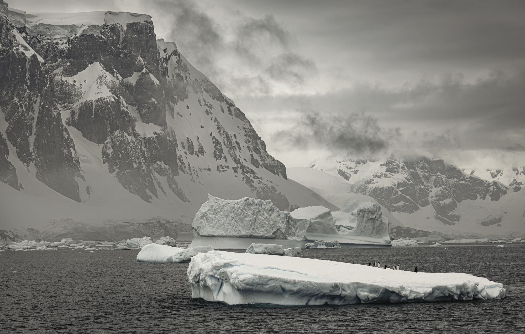 Wild Ocean: A Journey to the Earth's Last Wild Coasts