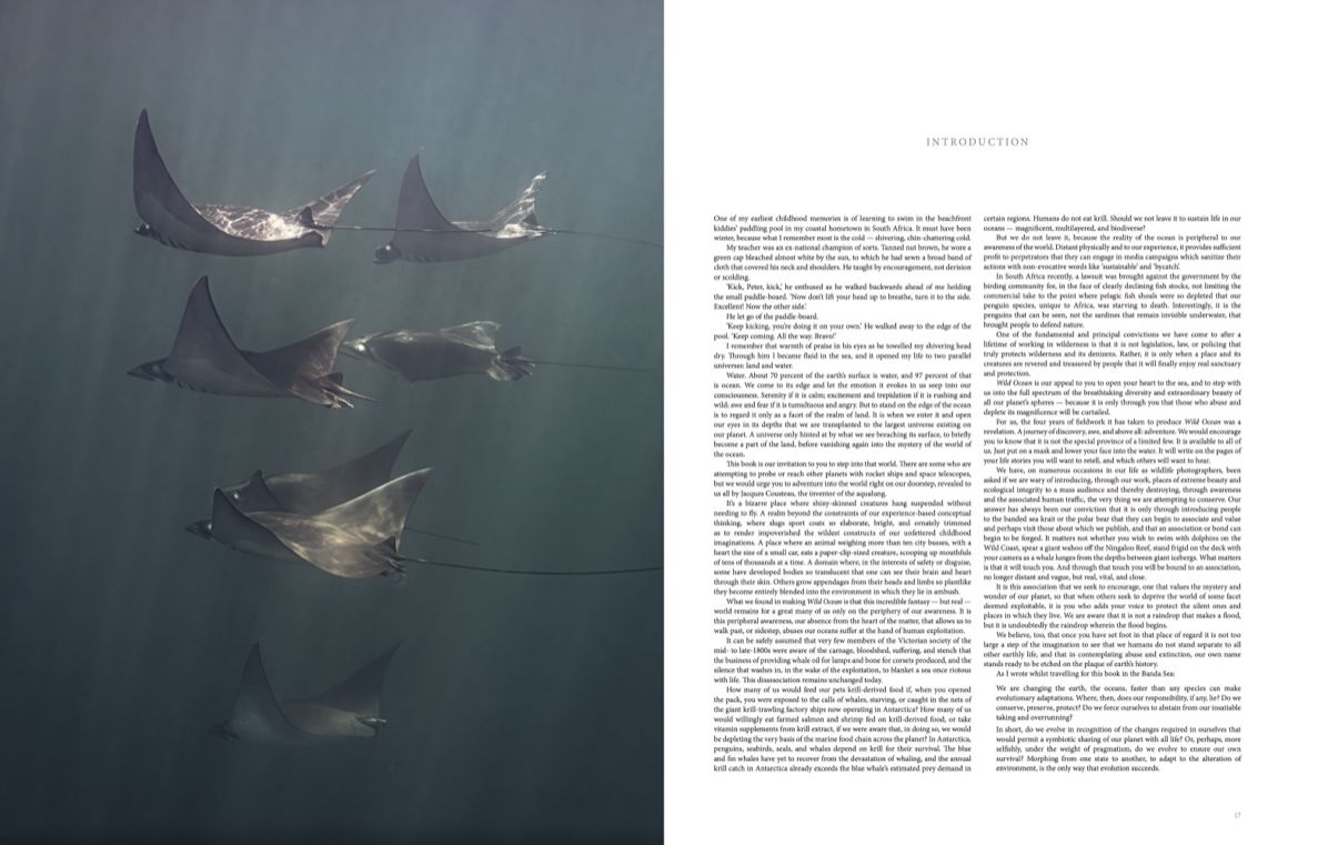Wild Ocean: A Journey to the Earth's Last Wild Coasts