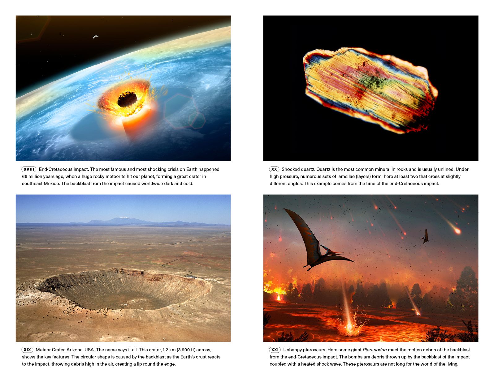Extinctions: How Life Survives, Adapts and Evolves