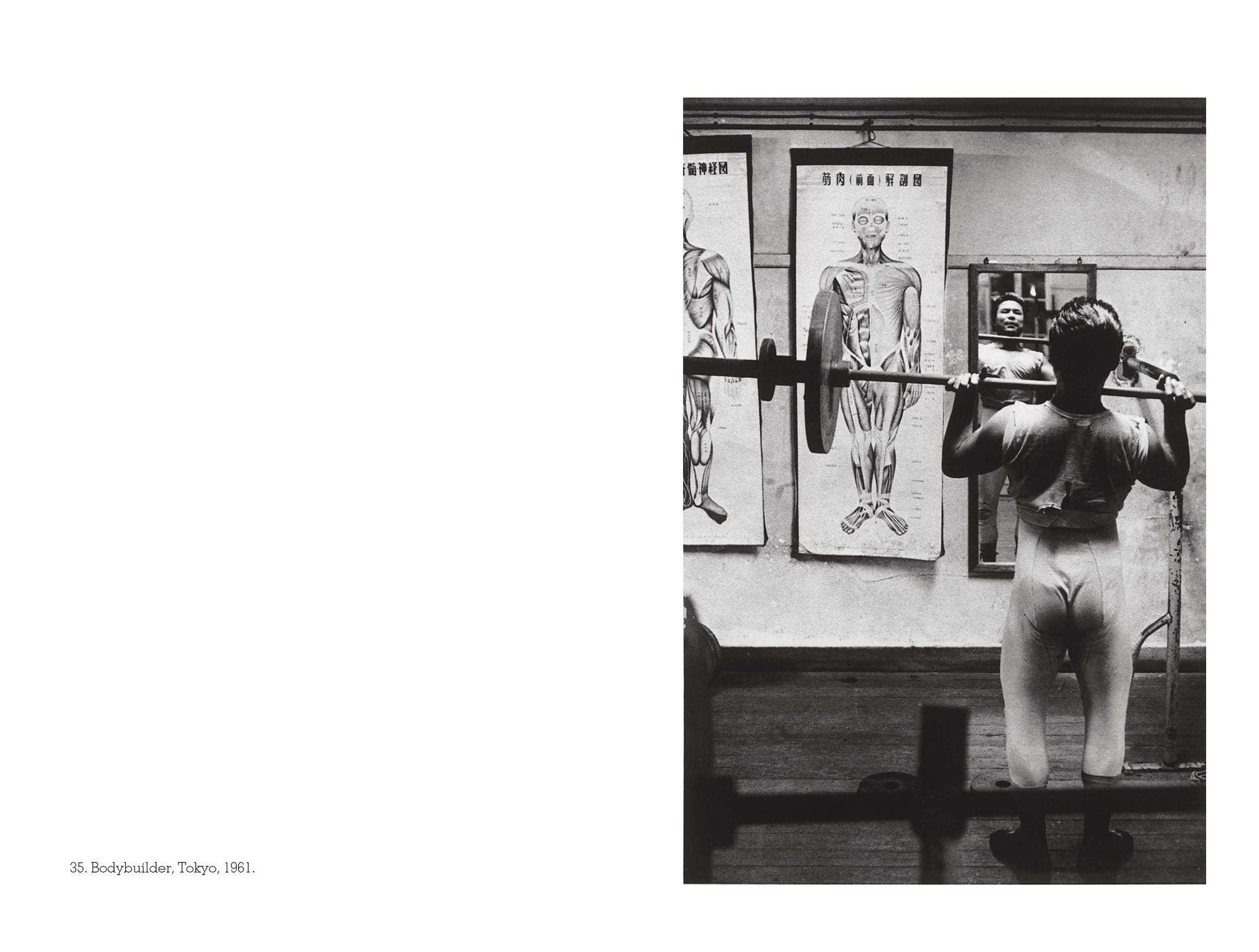 William Klein (Photofile)