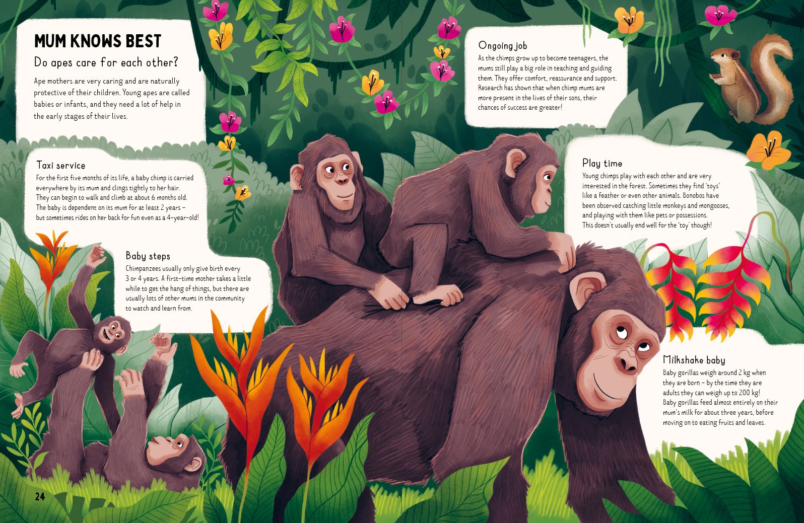 Do Gorillas Eat Bananas?