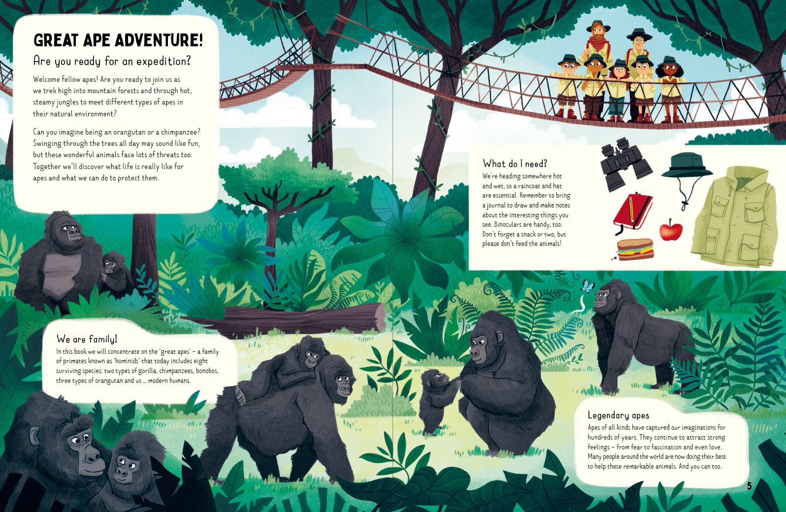 Do Gorillas Eat Bananas?