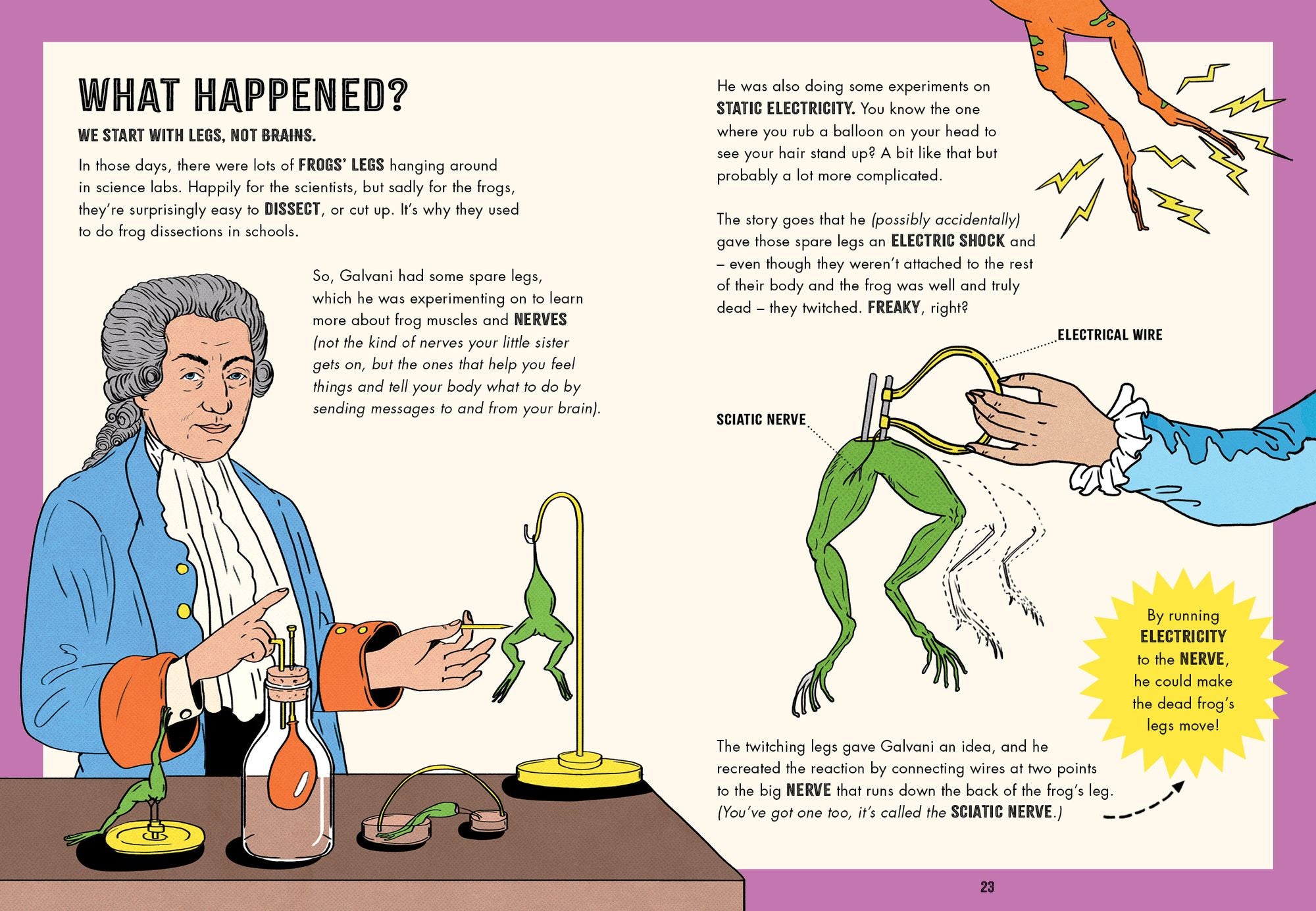 Inside Your Brain: Ten Discoveries That Reveal How the Brain Works