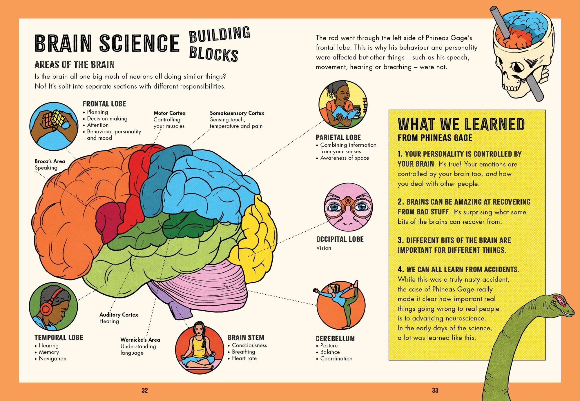 Inside Your Brain: Ten Discoveries That Reveal How the Brain Works