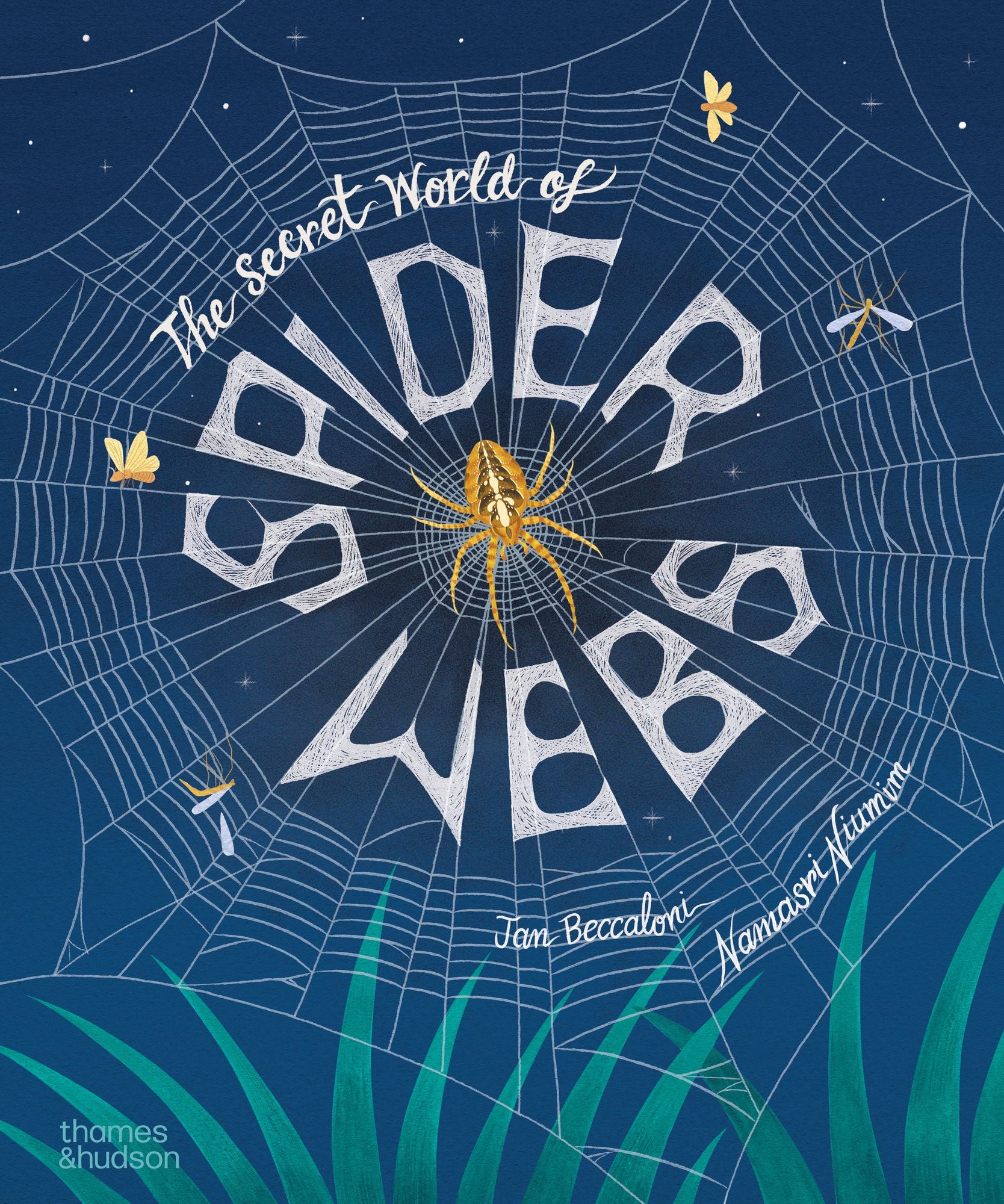 The Secret World of Spiderwebs