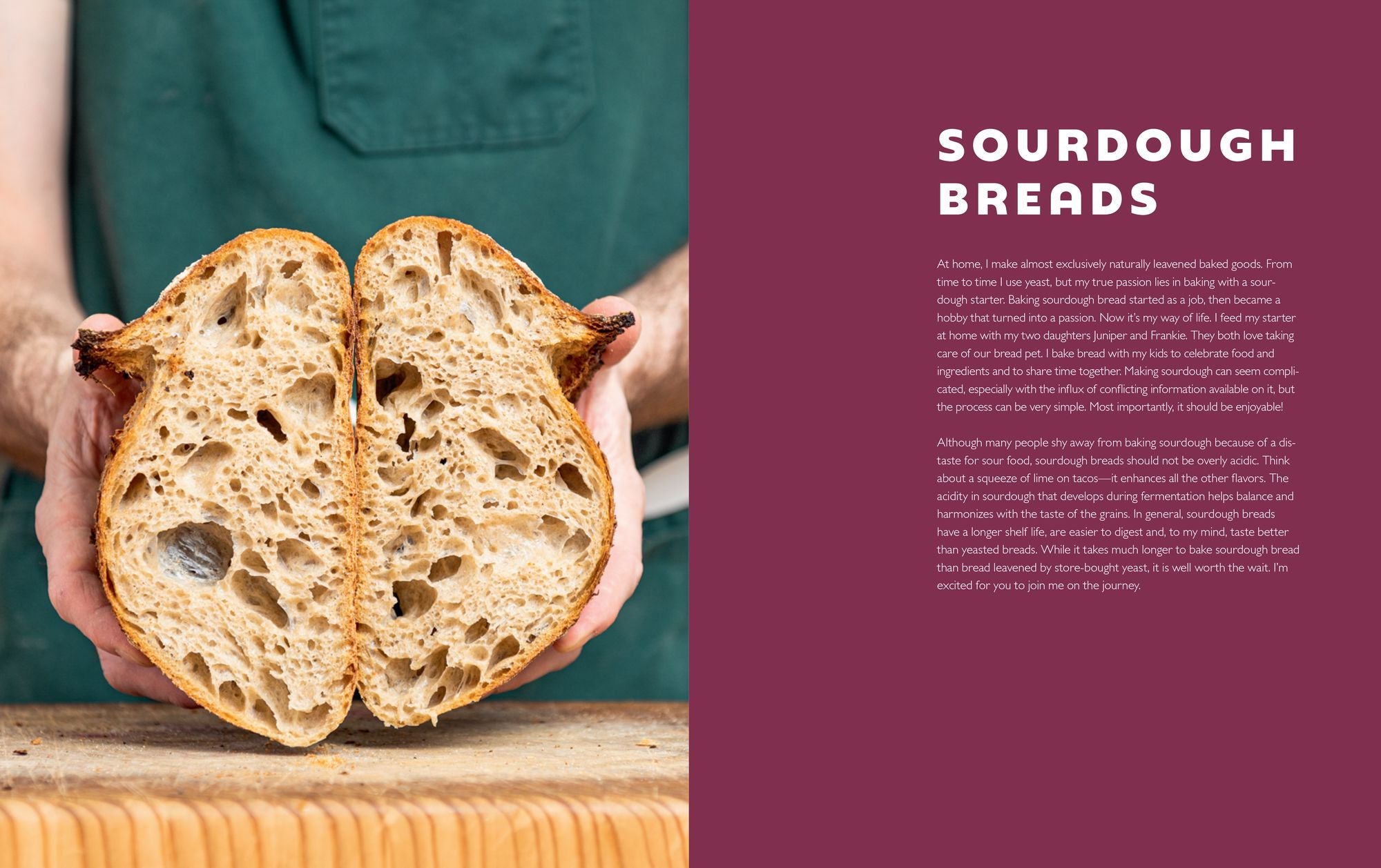Bread Etc.: Recipes + Techniques for Baking with Sourdough, Yeasted Dough, Pizza Dough + More
