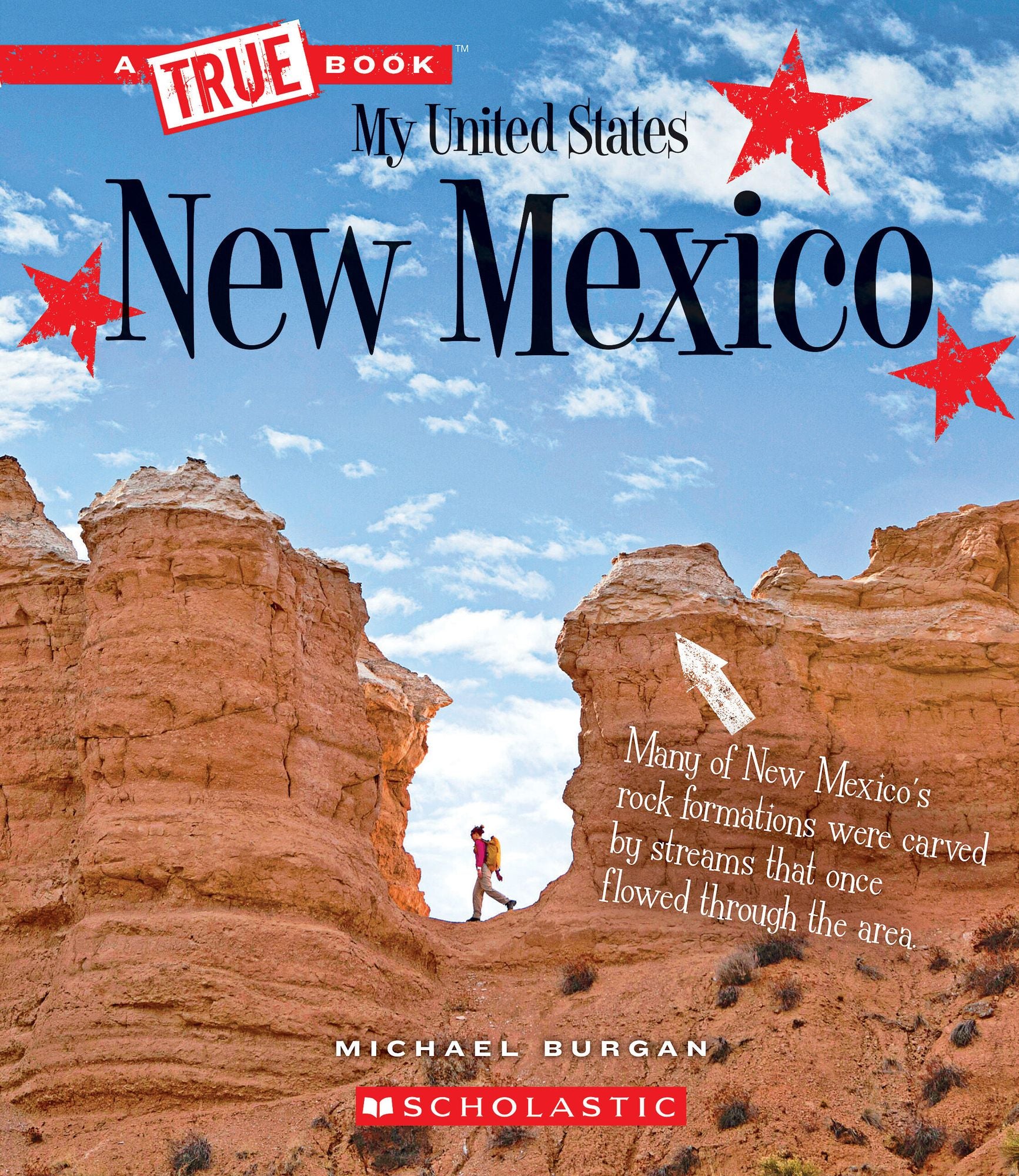 New Mexico (A True Book: My United States)