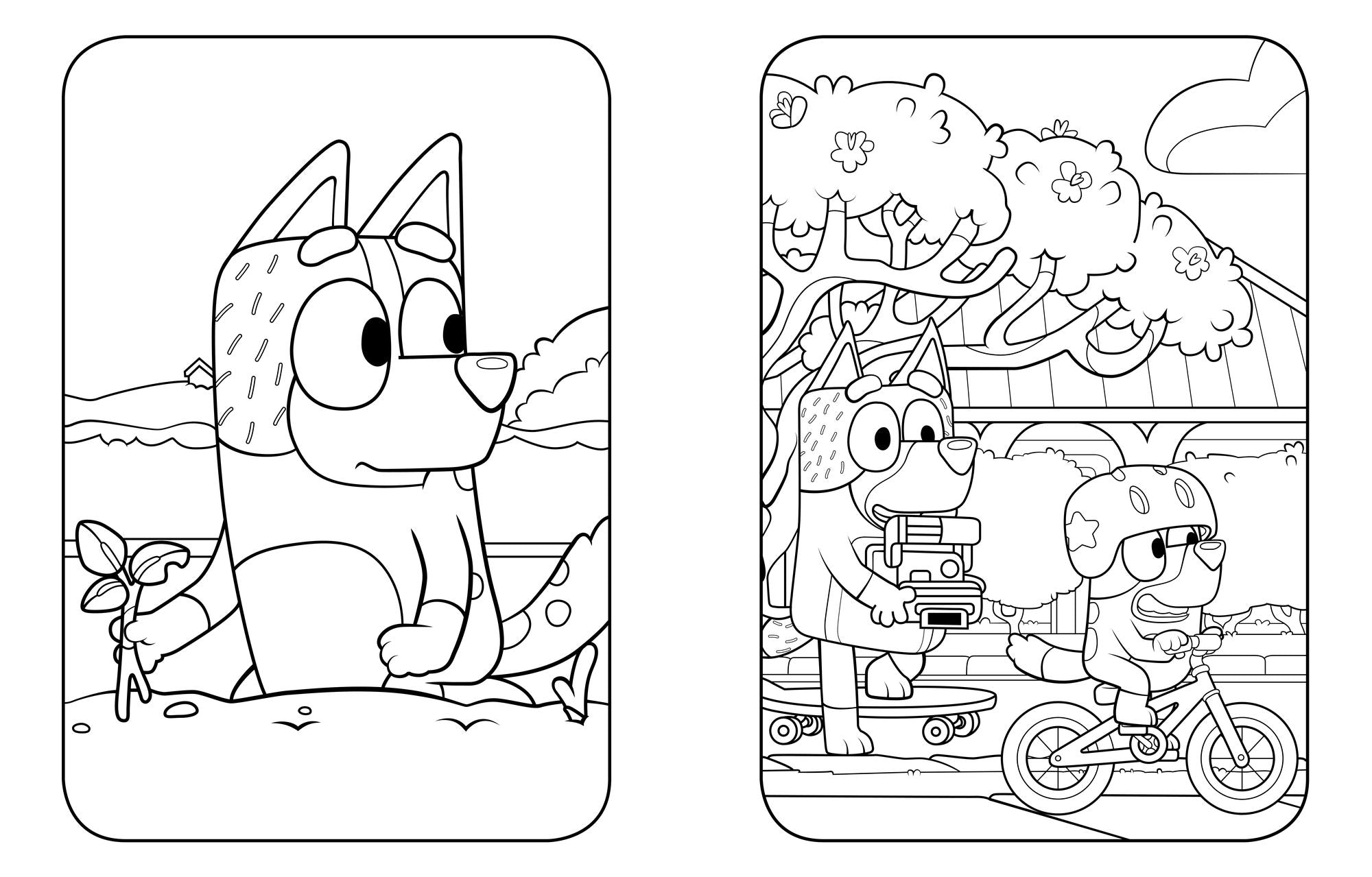 Bluey: Big Backyard: A Coloring Book