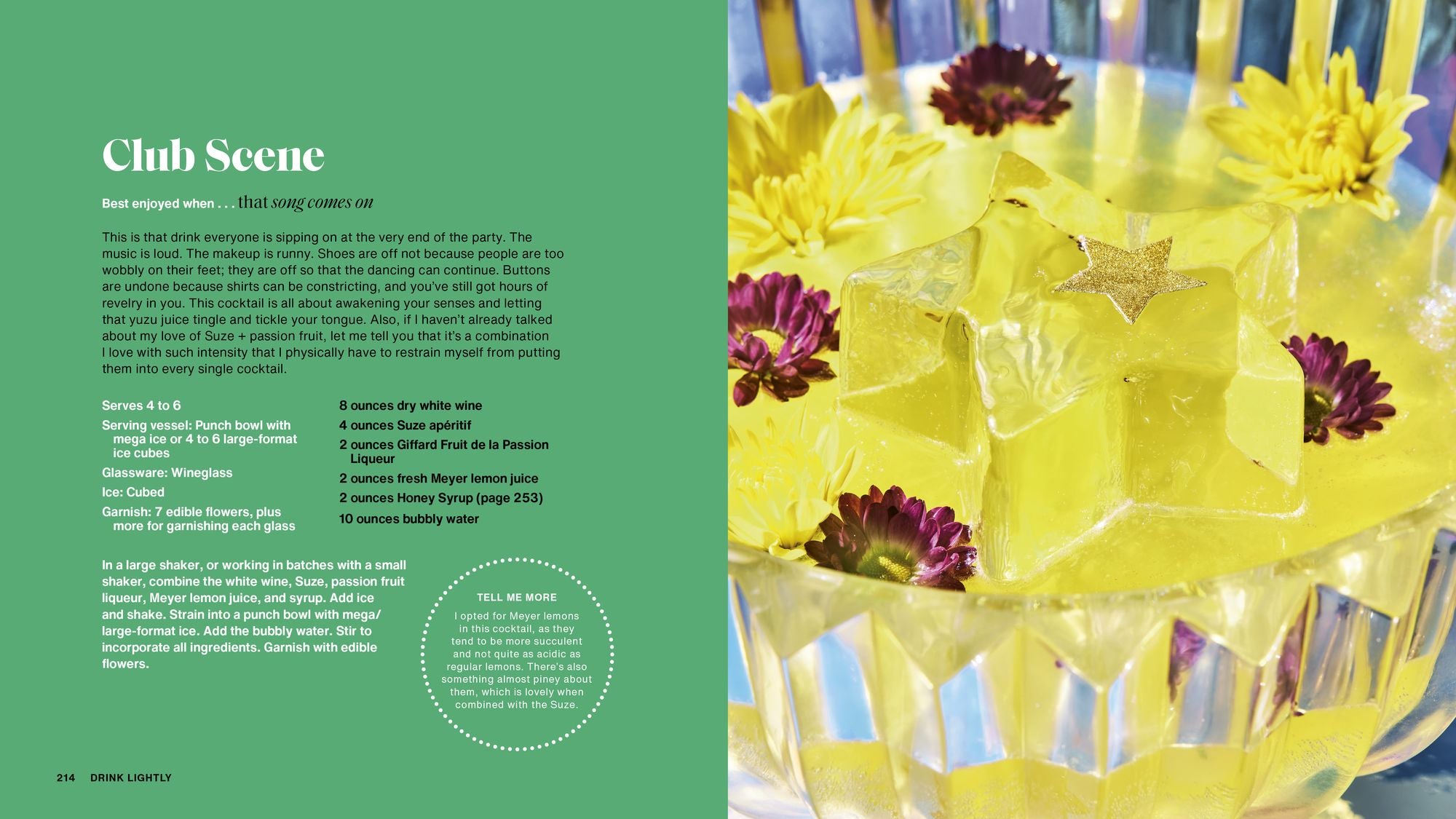 Drink Lightly: A Lighter Take on Serious Cocktails, with 100+ Recipes for Low- and No-Alcohol Drinks: A Cocktail Recipe Book