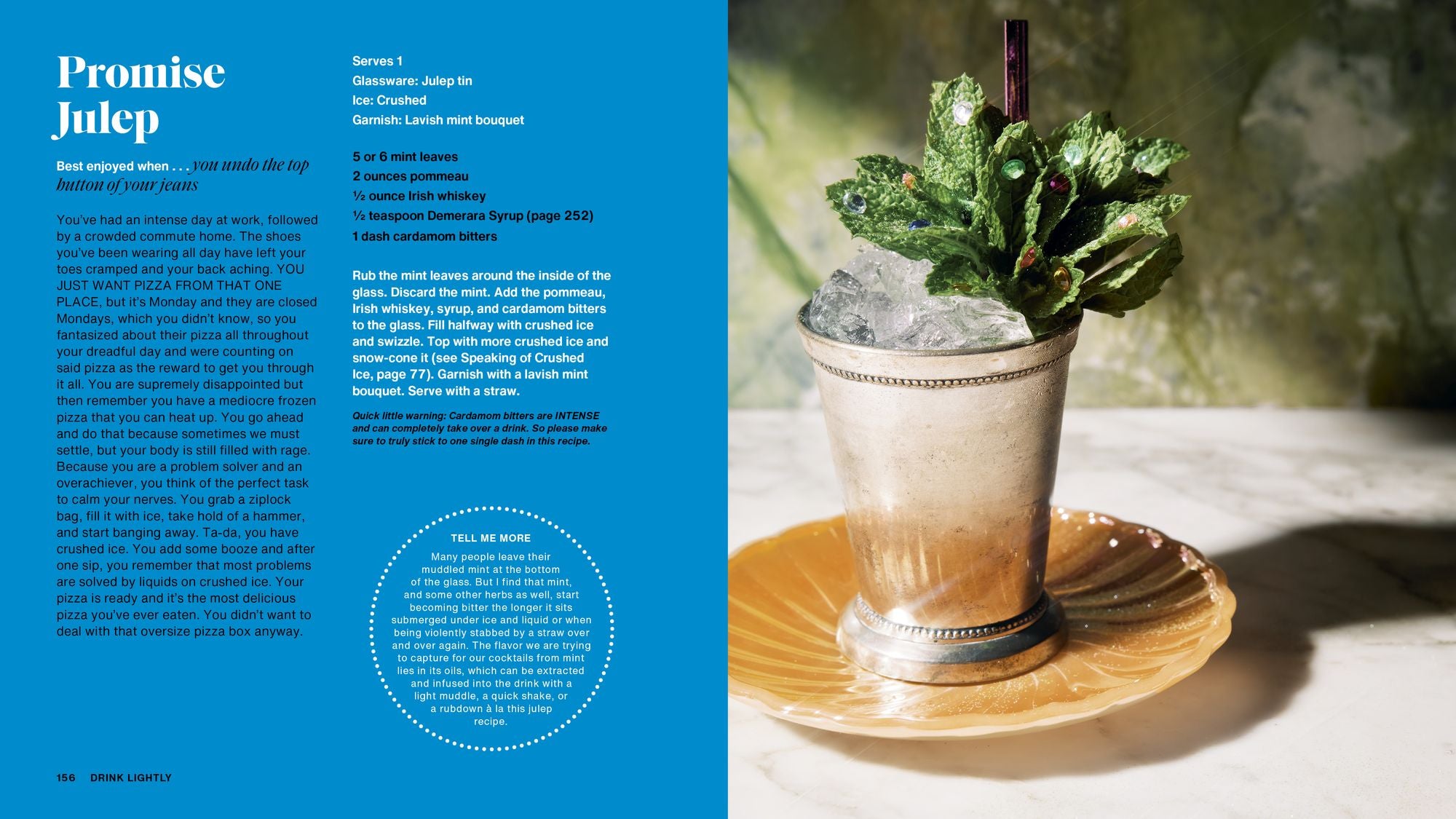 Drink Lightly: A Lighter Take on Serious Cocktails, with 100+ Recipes for Low- and No-Alcohol Drinks: A Cocktail Recipe Book