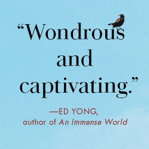 Better Living Through Birding: Notes from a Black Man in the Natural World