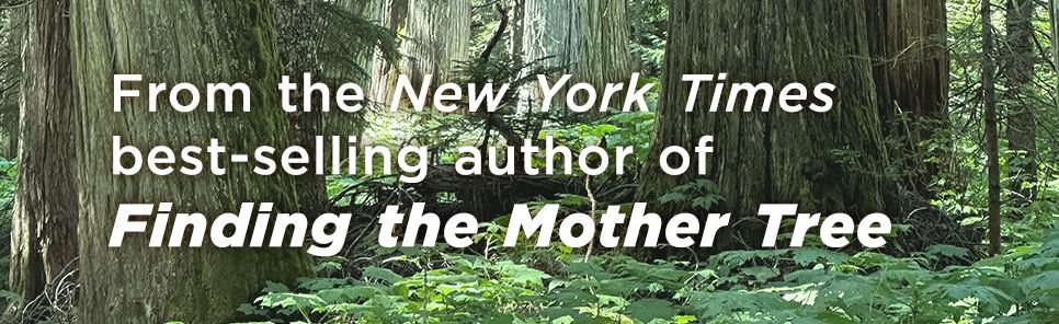 When the Forest Breathes: Renewal and Resilience in the Natural World