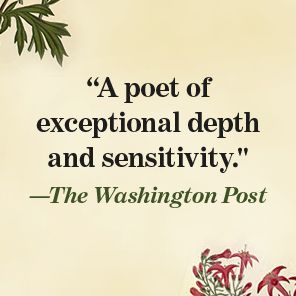 Night Watch: Poems
