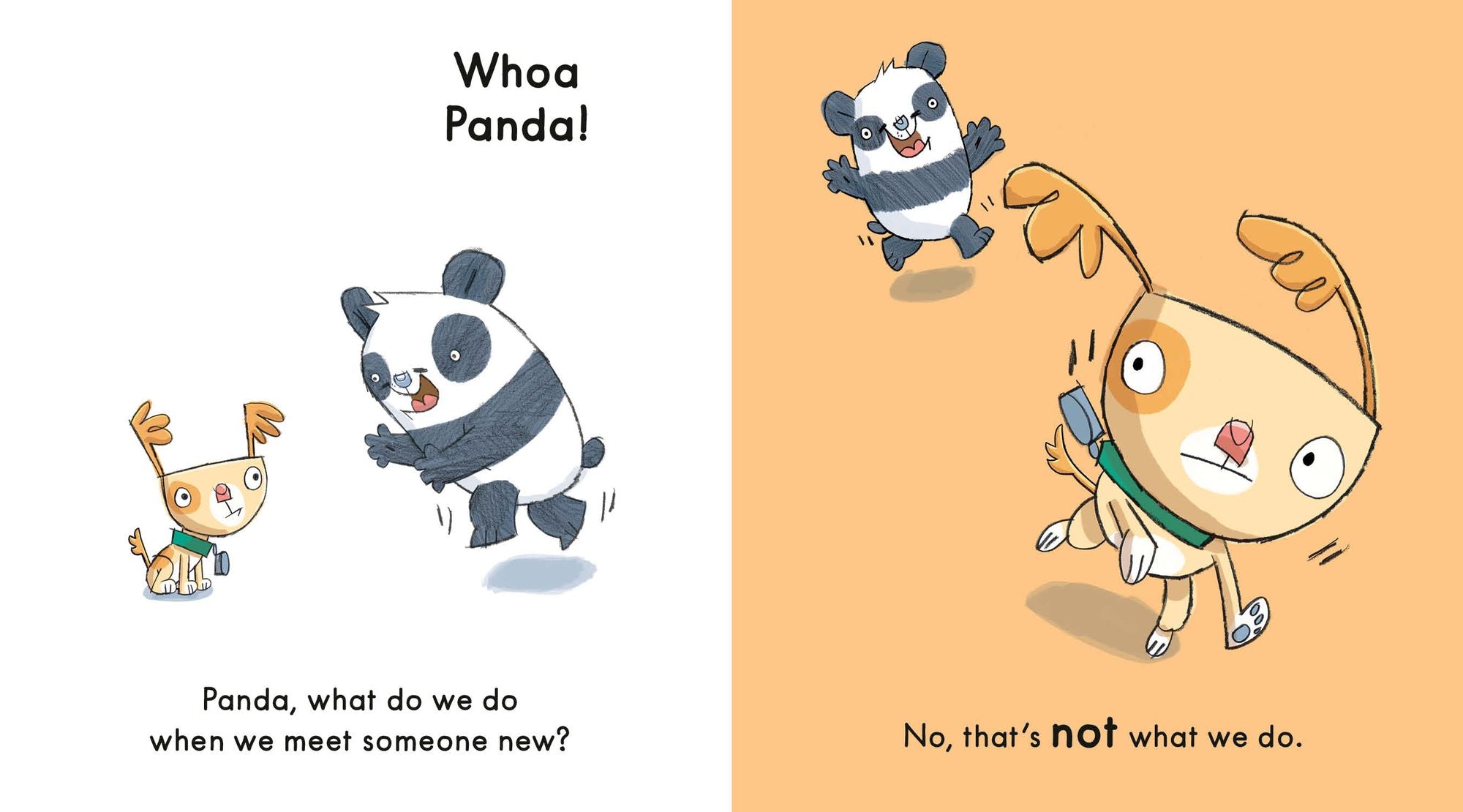 Whoa Panda!