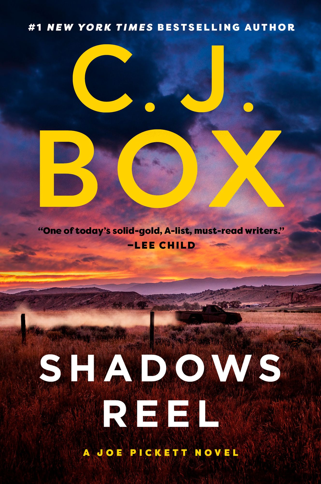 Shadows Reel (Joe Pickett Series #22)