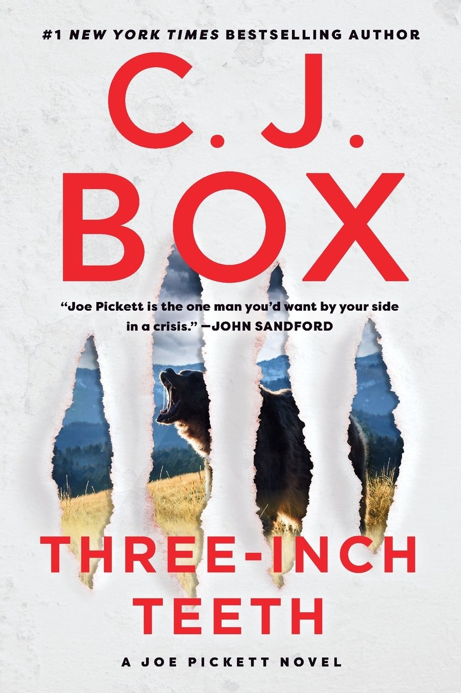 Three-Inch Teeth (Joe Pickett Series #24)