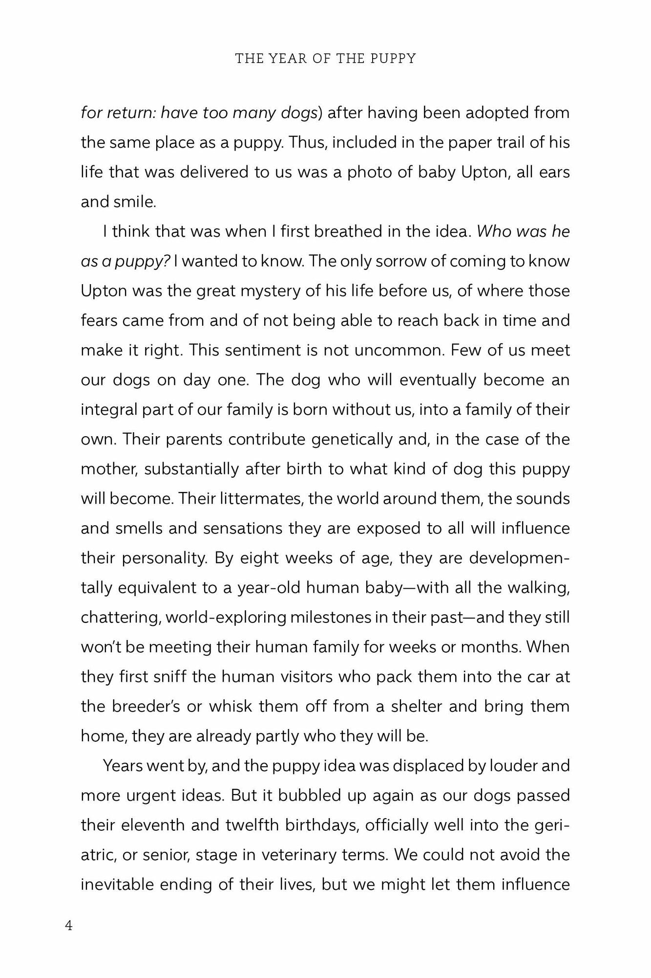 The Year of the Puppy: How a Puppy Becomes Your Dog