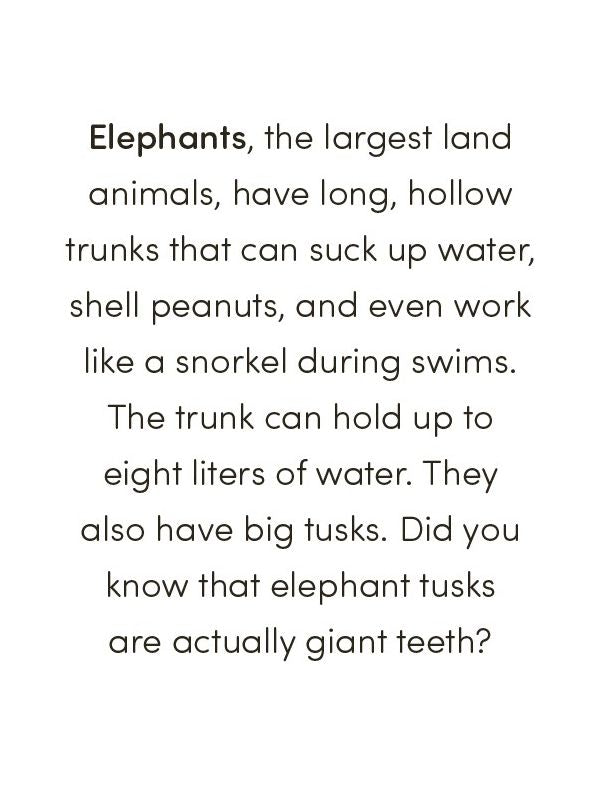 Wild Animal Book for Kids: Coloring Fun and Awesome Facts