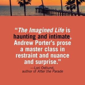 The Imagined Life: A Novel