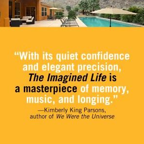 The Imagined Life: A Novel