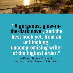The Imagined Life: A Novel