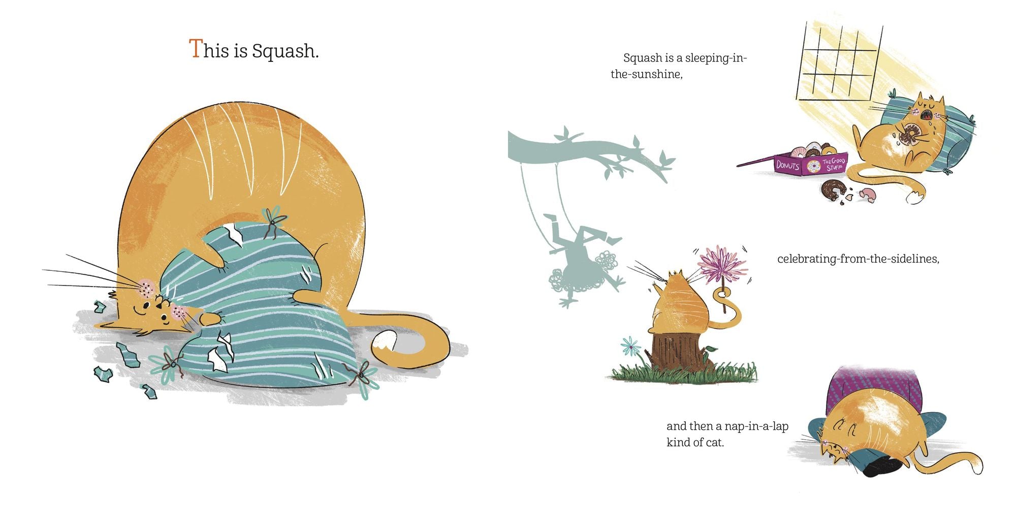 Squash, the Cat: Stuck in the Middle