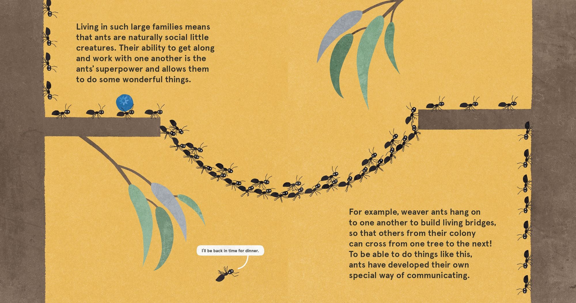 The Wonderful Wisdom of Ants
