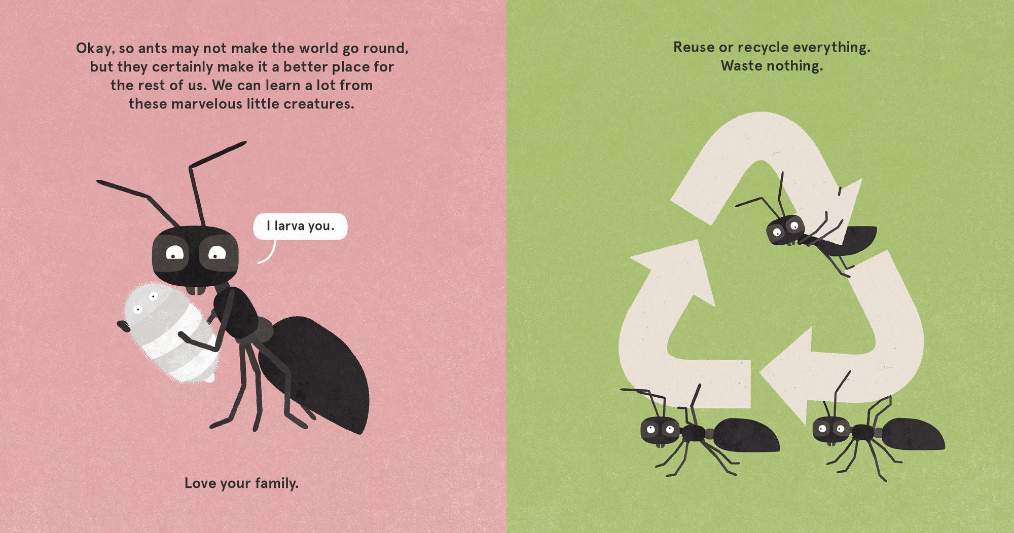 The Wonderful Wisdom of Ants