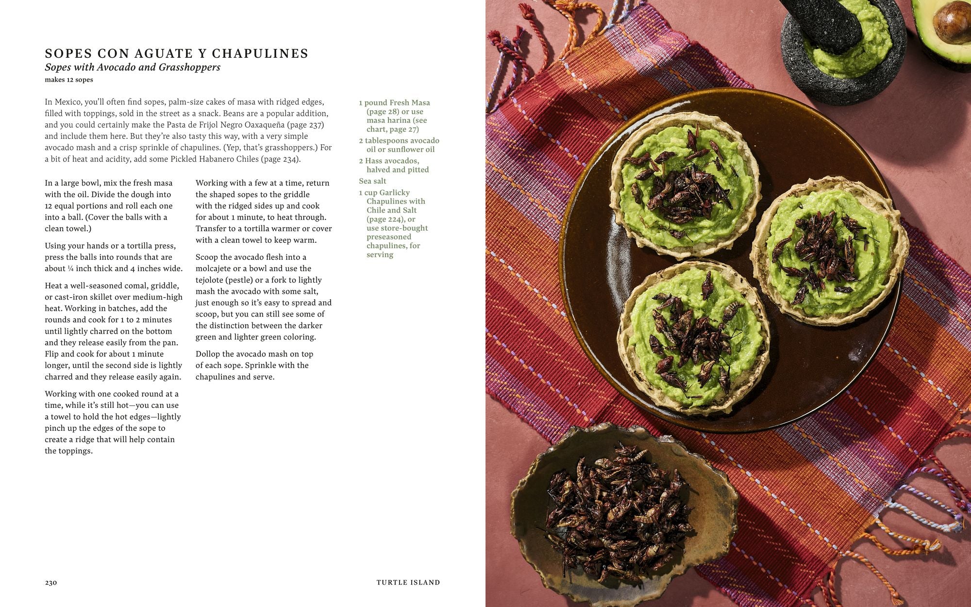 Turtle Island: Foods and Traditions of the Indigenous Peoples of North America