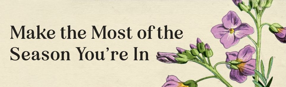 The Sowing Season: A Practical Guide to Cultivating Small Habits That Invite God's Abundance