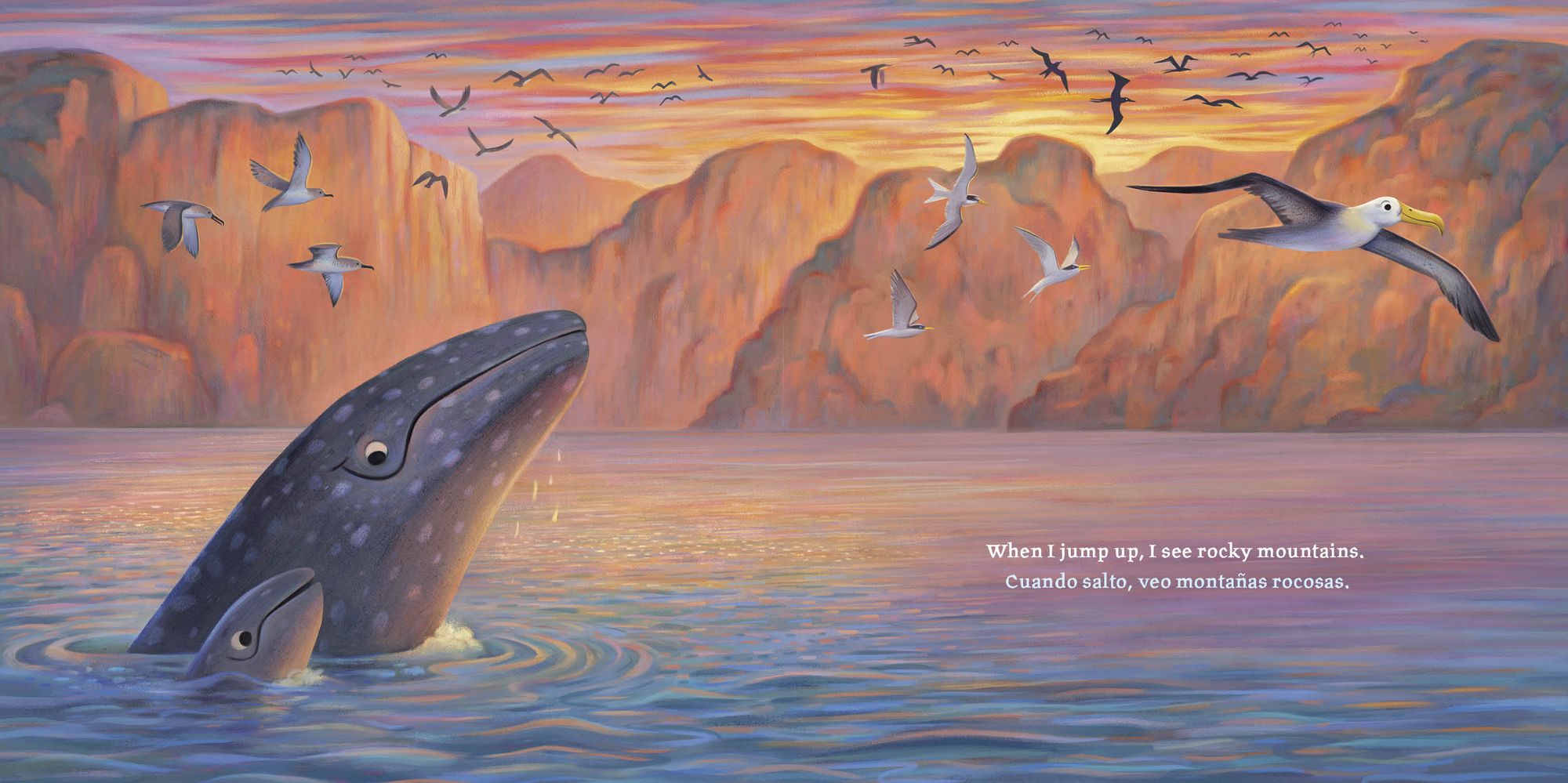 Baby Ballena (Bilingual English-Spanish Edition)
