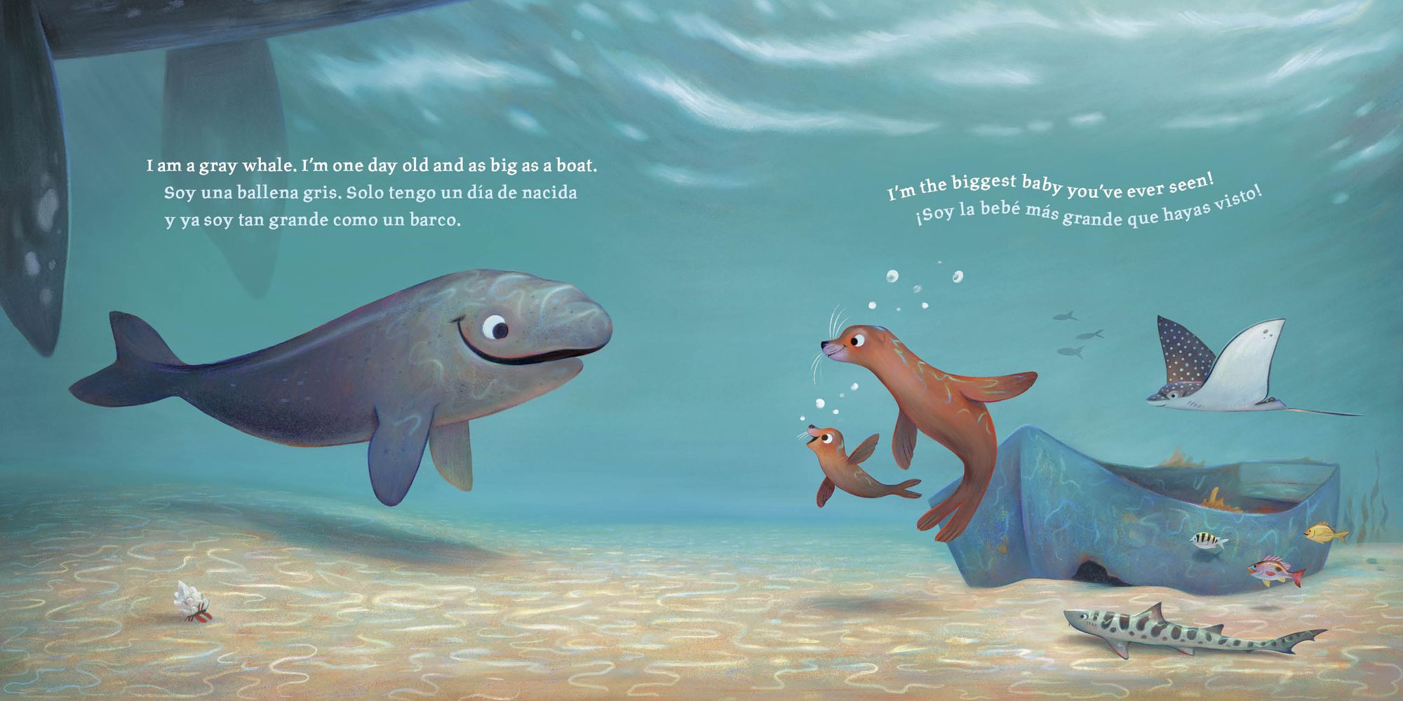 Baby Ballena (Bilingual English-Spanish Edition)