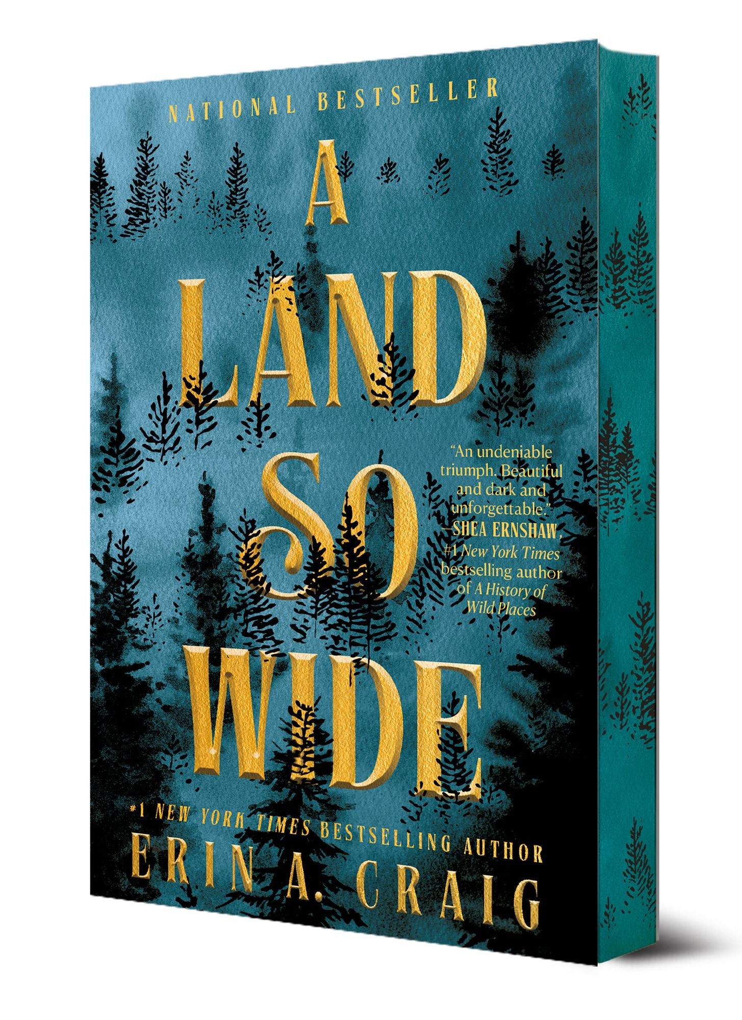 A Land So Wide: A Novel